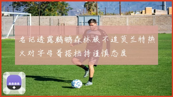 名记透露鹈鹕森林狼不追莫兰特热火对字母哥搭档持谨慎态度
